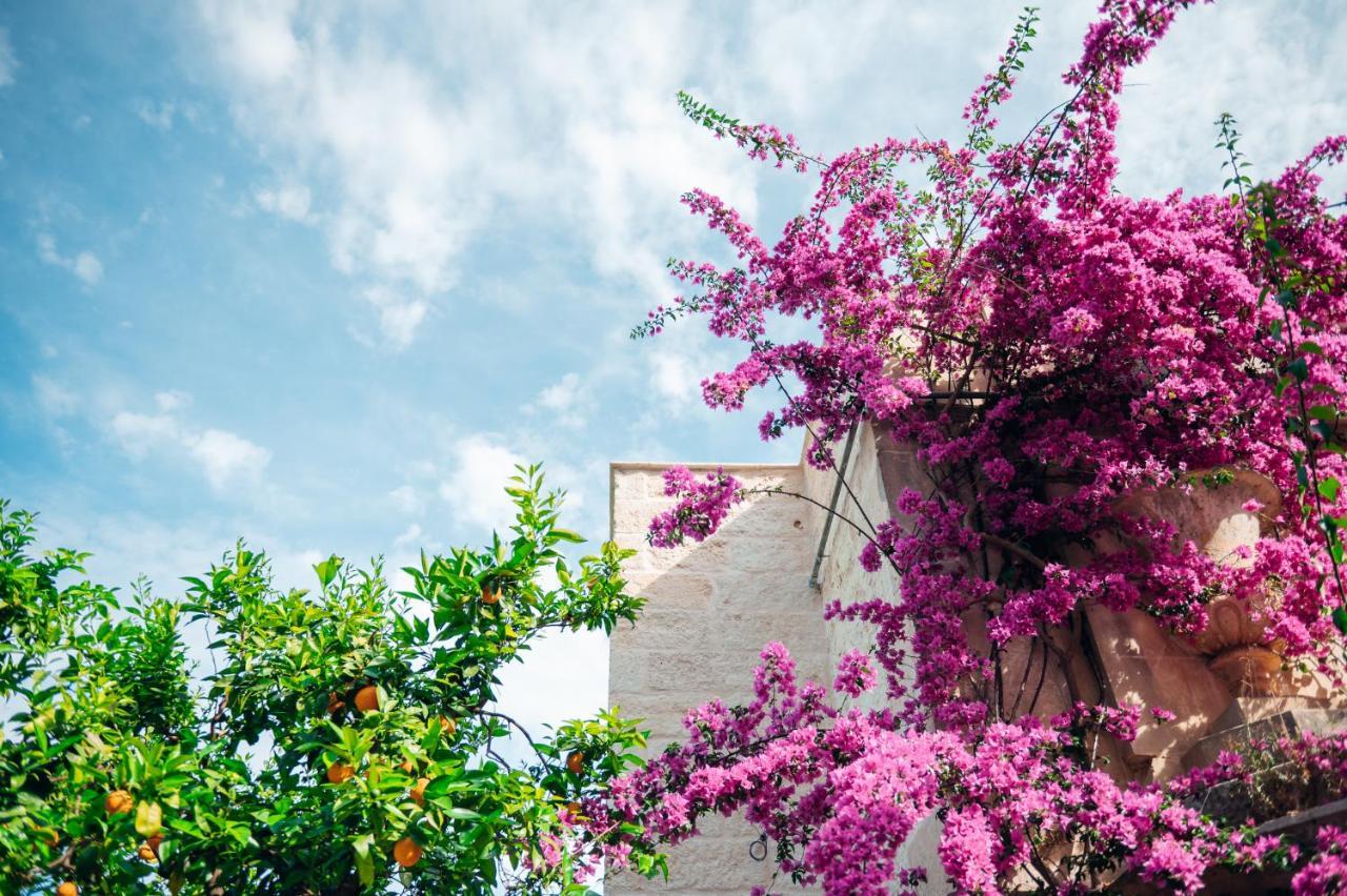 Tenuta Tresca Suites - Dimora Storica San Cassiano  Dış mekan fotoğraf